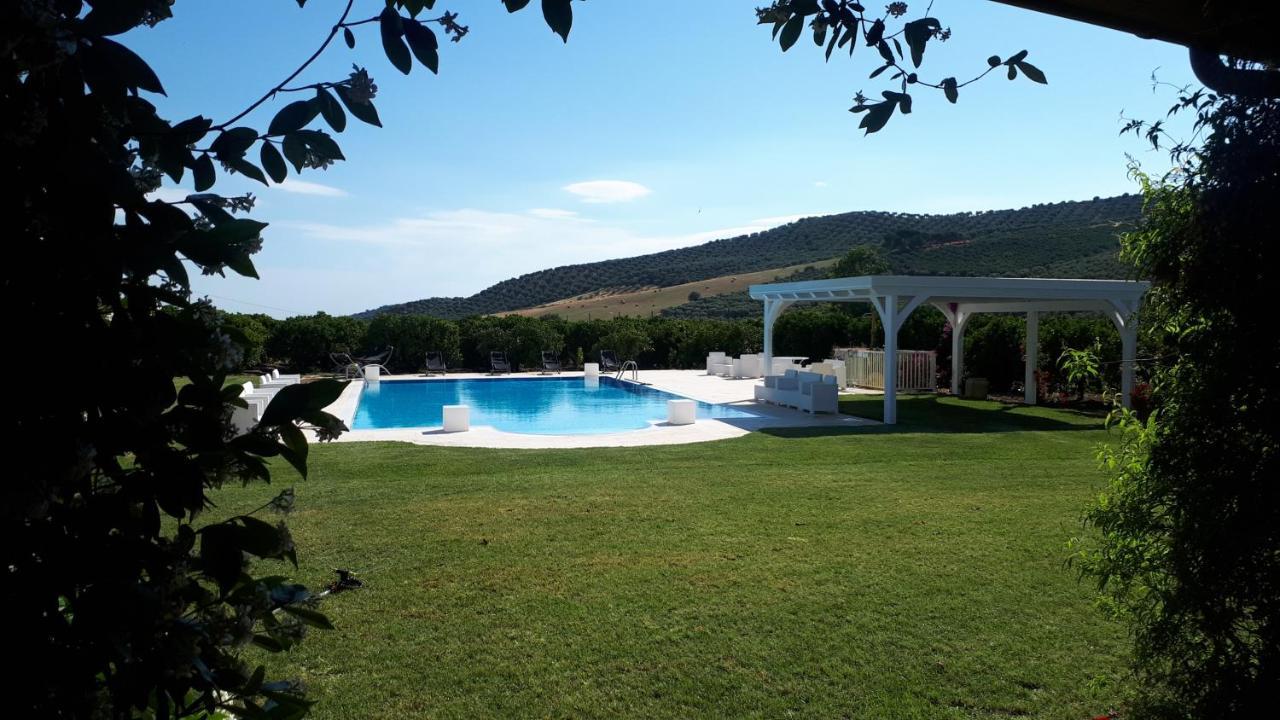 Agriturismo Trappeto Vecchio San Demetrio Corone Exterior photo